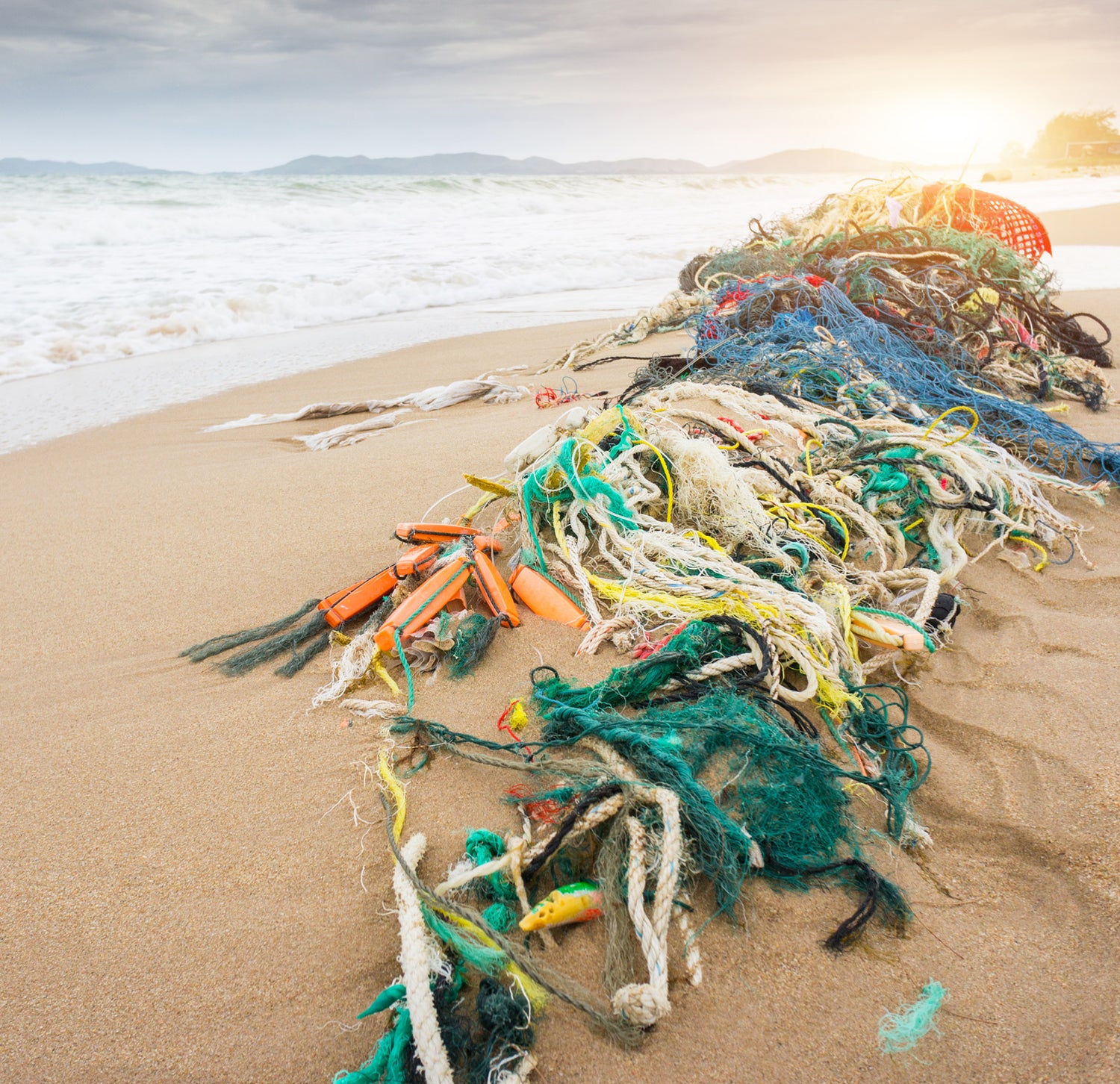Bild på en strand med uppspolade fisknät. Havet syns i bakgrunden.